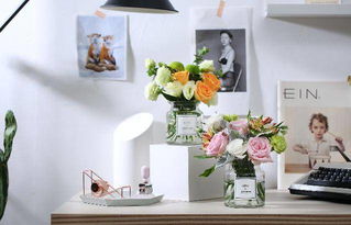 科学选品：测量空间尺寸，记录光照时长