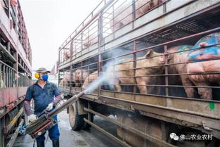 15分钟快速检测三聚氰胺，保障农业养殖安全