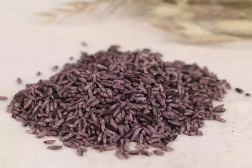 河北蓖麻种子市场探秘：价格差异与购买陷阱