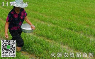 饼肥浇花的神奇效果，你知道吗？