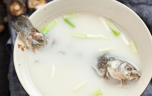 清道夫的鱼肉能否作为饲料鱼制作鱼粉？