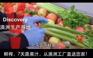 私信TA：澳洲各季节适合种植的蔬菜揭秘