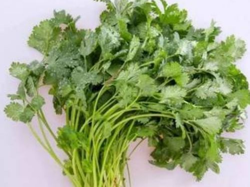 香菜：不是树木， 却是美食中的香氛使者