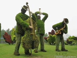 园艺师的特质，你具备了吗？