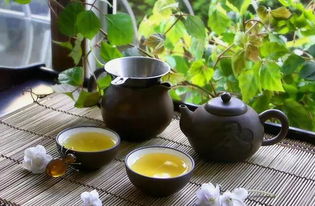 海棠树叶泡茶，真的能养生吗