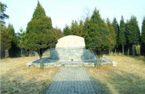 柏树种植的注意事项