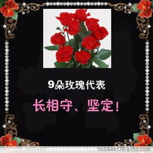 “1321朵玫瑰花”在网络用语中读作“一生一世一朵花”