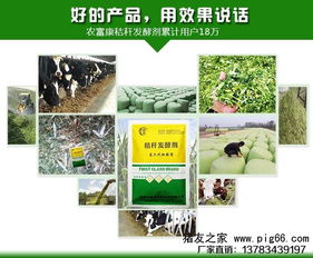 饲料加工工艺对饲料营养价值的影响