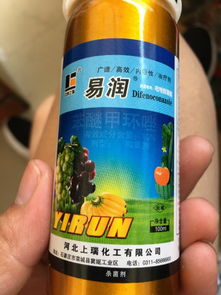 情感色彩浓重，价格感受更真实
