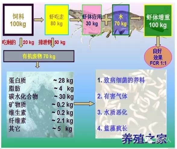 牛用生物饲料是什么神奇配方？为何能声称降低30%养殖成本？