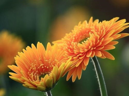 五月播种的注意事项