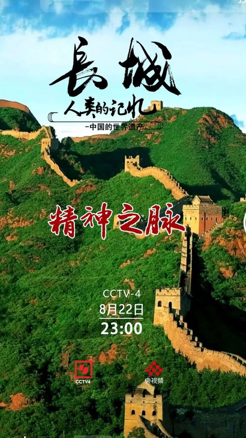 黄山松的文化意义和生命力体现在哪些方面