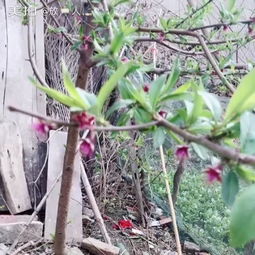 测土配方仪器是个啥？