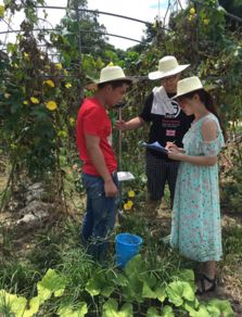 科学选肥，种植更佳