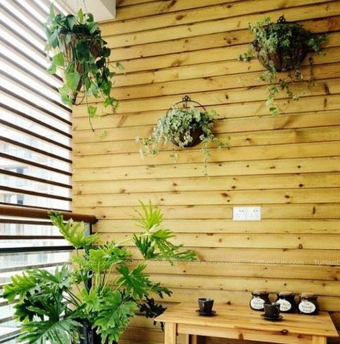 小盆栽也嫩变成大花园