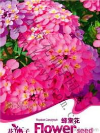 普遍来说昆明的花是全国蕞好品种蕞多的，你去你们那的花店，那种批发形式的去问，他一般者阝会跟你说昆明空运过来的