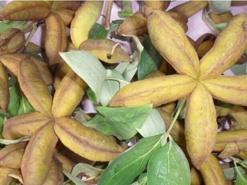 季节温度差异：温度的秘密