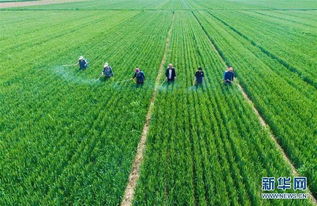 避免这些“雷区”