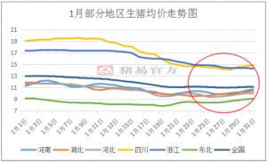 猪肉行情反弹对饲料价格有何影响？哪些因素将影响猪肉后市行情？