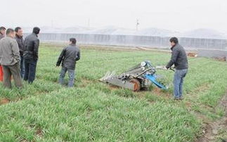 Q：施肥越多越好吗？