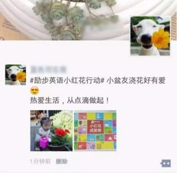 路边的花为什么那么旺？绿化队师傅教你一招
