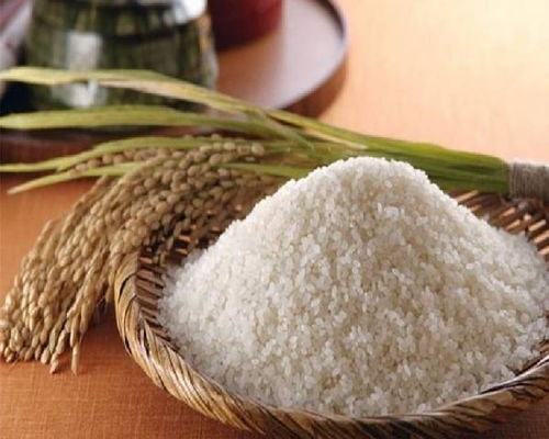 壮香糯水稻种子：富含淀粉