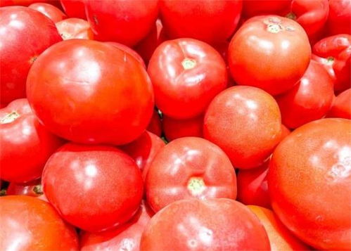 西红柿是水果还是蔬菜？它竟然是……
