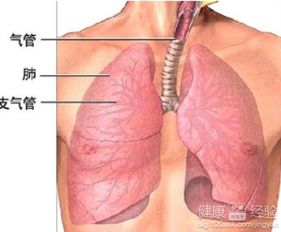 尘肺病：粉尘的慢性杀手
