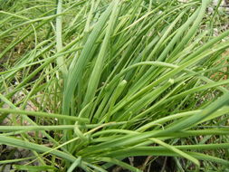 使用方法，简单易懂