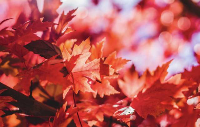 重点提醒！遇到这两种