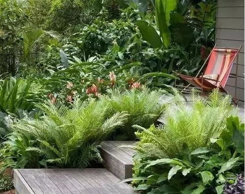 主庭中别墅花园植物布置庭院时植物品种不宜太多