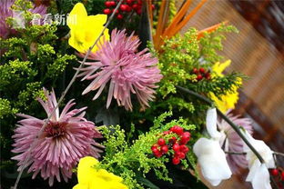 水仙花，春日里的“凌波仙子”