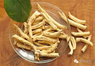 西洋参虽好，但这几类人吃了会有副作用吗