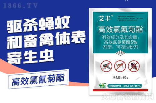 雨季如何把握时机？