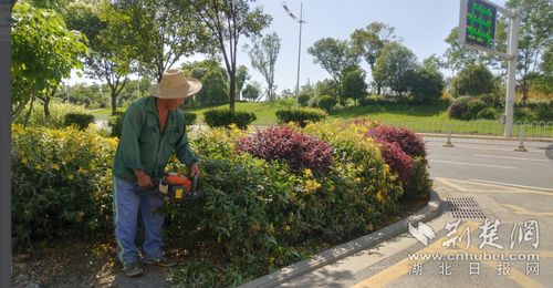 修剪工具，也要讲究