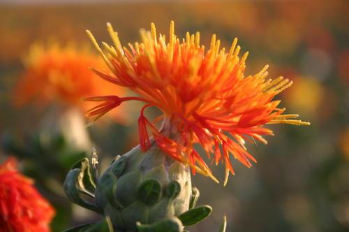 浇水禁忌时刻表