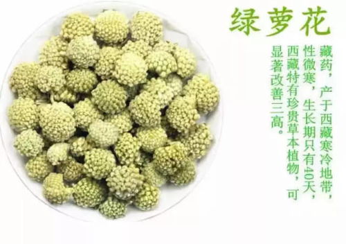 绿萝花茶功效显著，哪类人群饮用更能发挥其神奇作用