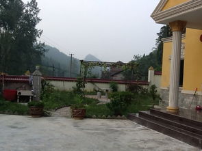 北方庭院草坪种植，选哪种草好嗯？