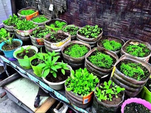 厨余堆肥的制作