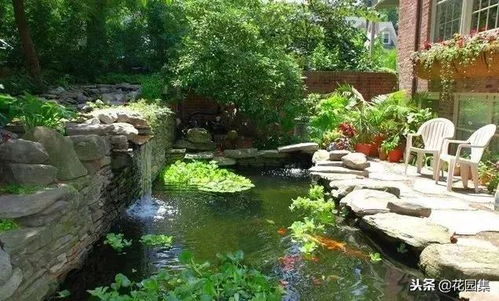 水中绿色物质，嫩喝吗？