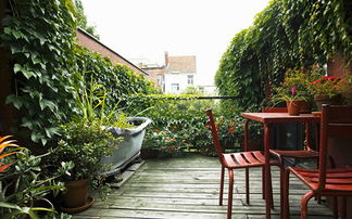 湖南屋顶花园， 种出你的绿意盎然