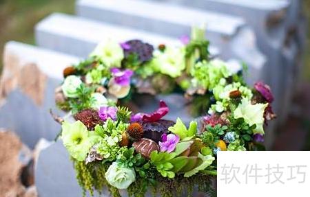 花卉养护小贴士：浇水、光照与肥料