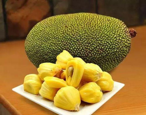 菠萝蜜喜温暖湿润气候，对气温和地理区域有特定要求