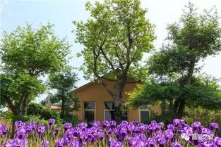 宣传与推广：提升项目知名度