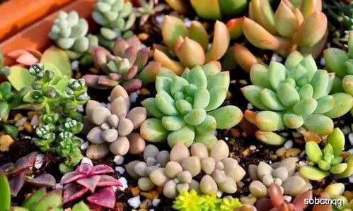 通风：呼吸新鲜空气