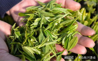 枸杞头晒干步骤详解？如何保存才能延长保质期