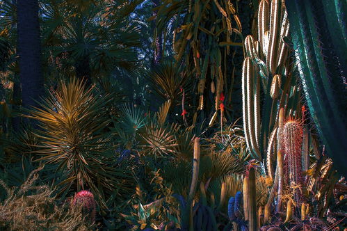 生物多样性， 城市的生命力