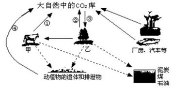 提升农业灌溉效率：循环水系统常见问题与解决方案