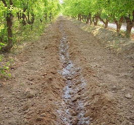 一、 农药的选择与使用