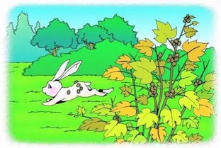 植物传播种子方法：果实弹射